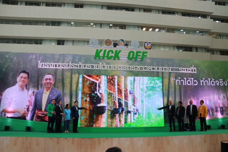 บัตรสีชมพูตื่น! กยท.สั่งเบรกตรวจสวนจ่ายประกันรายได้ยาง