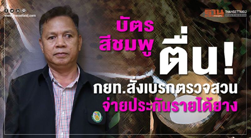 บัตรสีชมพูตื่น! กยท.สั่งเบรกตรวจสวนจ่ายประกันรายได้ยาง บัตรสีชมพูตื่น! กยท.สั่งเบรกตรวจสวนจ่ายประกันรายได้ยาง