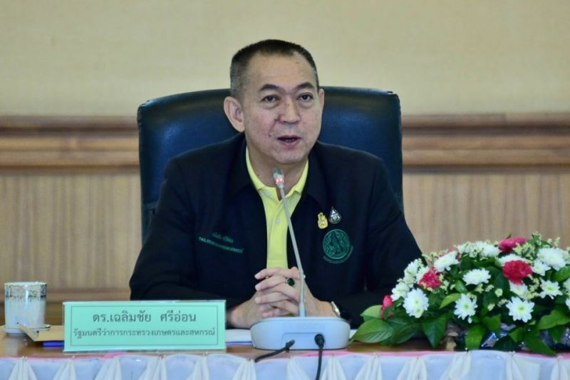 เกษตรฯ โล๊ะสต็อก 3 สารดันขายต่างประเทศ