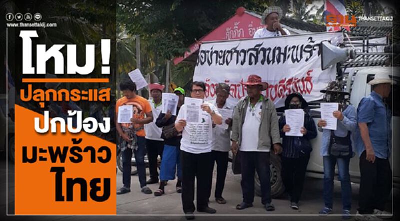 โหม! ปลุกกระแสปกป้องมะพร้าวไทย โหม! ปลุกกระแสปกป้องมะพร้าวไทย