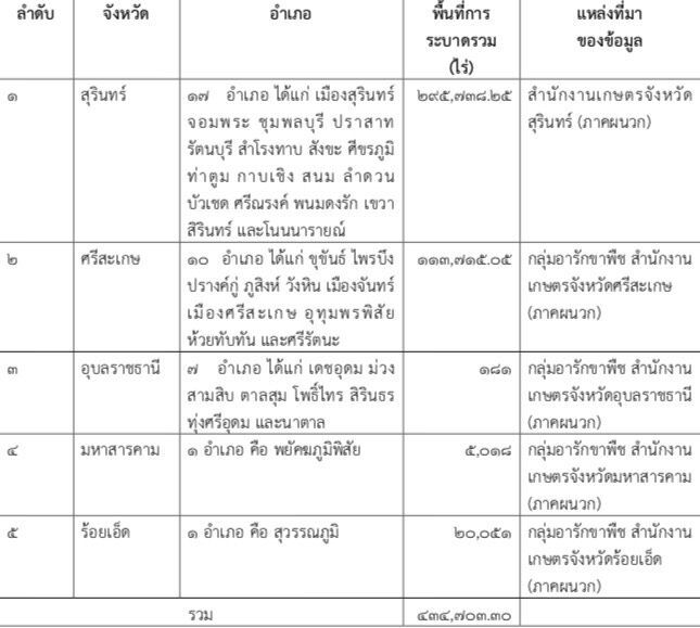 โวยโรคไหม้คอรวงข้าวระบาดหนักหวั่นลามหอมมะลิเจ๊ง