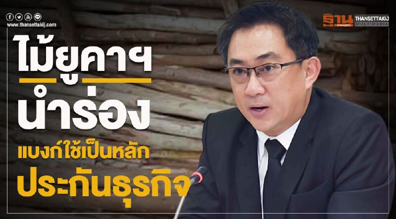 ไม้ยูคาฯนำร่อง แบงก์ใช้เป็นหลักประกันธุรกิจ