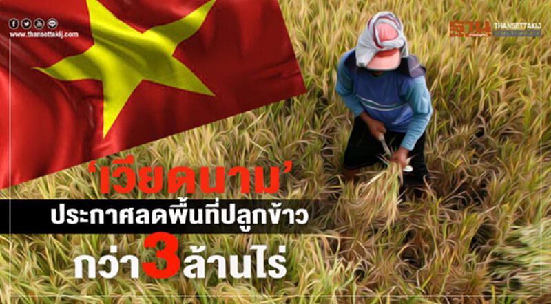 'เวียดนาม' ประกาศลดพื้นที่ปลูกข้าวกว่า3ล้านไร่ 'เวียดนาม' ประกาศลดพื้นที่ปลูกข้าวกว่า3ล้านไร่