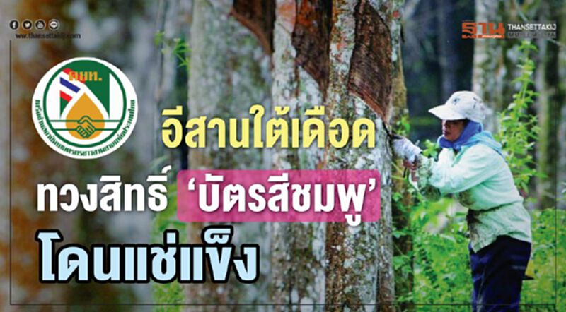 อีสานใต้เดือดทวงสิทธิ์ ‘บัตรสีชมพู’ โดนแช่แข็ง อีสานใต้เดือดทวงสิทธิ์ ‘บัตรสีชมพู’ โดนแช่แข็ง