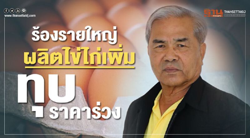 ร้องรายใหญ่ผลิตไข่ไก่เพิ่มทุบราคาร่วง ร้องรายใหญ่ผลิตไข่ไก่เพิ่มทุบราคาร่วง