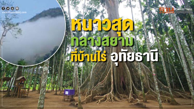 หนาวสุดกลางสยามที่บ้านไร่อุทัยธานี หนาวสุดกลางสยามที่บ้านไร่อุทัยธานี