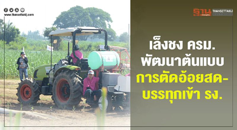เล็งชง ครม. พัฒนาต้นแบบระบบการตัดอ้อยสดและบรรทุกเข้า รง. เล็งชง ครม. พัฒนาต้นแบบระบบการตัดอ้อยสดและบรรทุกเข้า รง.