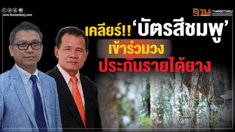 เคลียร์!! บัตรสีชมพูเข้าร่วมวงประกันรายได้ยาง เคลียร์!! บัตรสีชมพูเข้าร่วมวงประกันรายได้ยาง