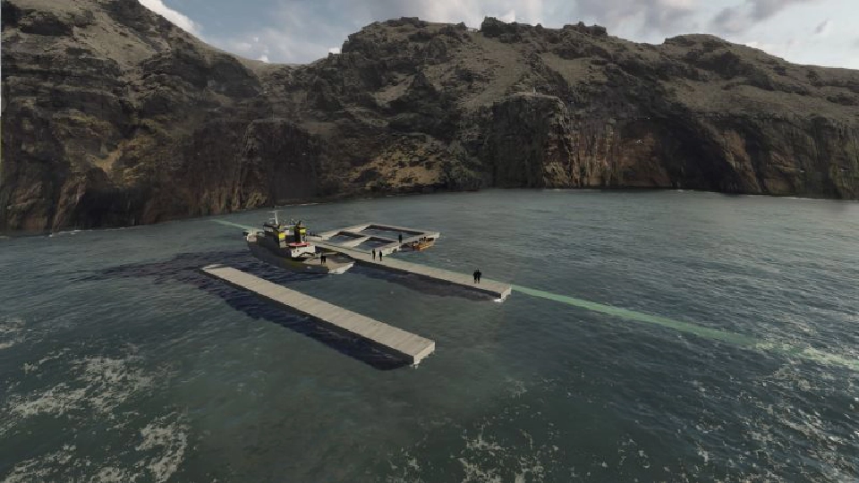 ซีไลฟ์ พา 'วาฬเบลูกา’ สู่บ้านหลังใหม่ไอซ์แลนด์