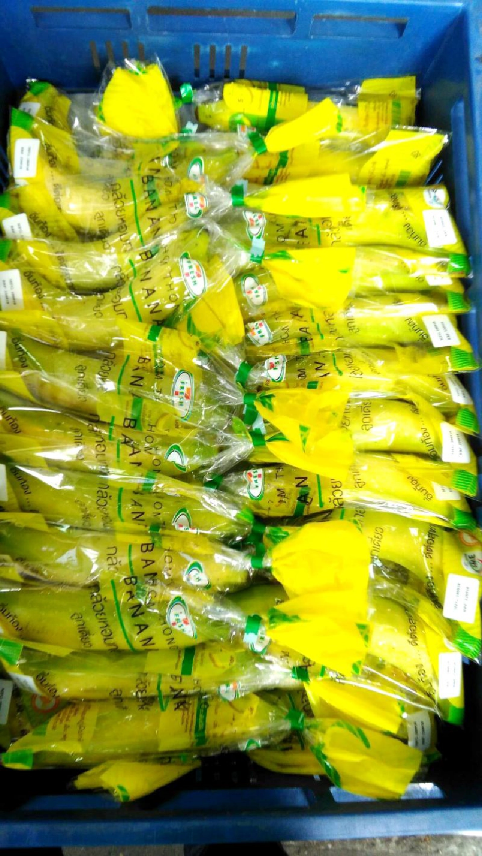 เอ็น แอนด์ เอ็นฯยึด7-11  ชูเป้ารายได้กล้วยหอมทอง 200ล้าน