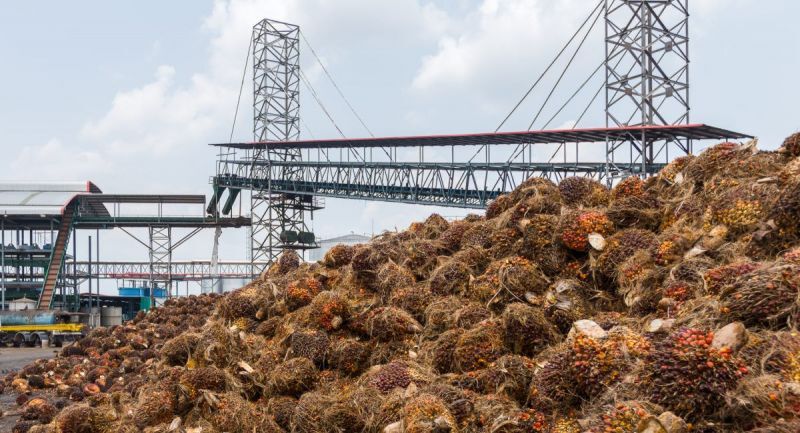 ไฟเขียวติดมิเตอร์ถังเก็บน้ำมันปาล์มกว่า 483 ล้าน