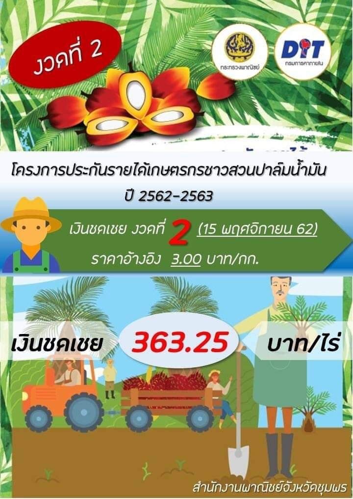 รอบ2 เคาะแล้วรัฐชดเชยส่วนต่างปาล์ม ราคา 1 บาท/กก.