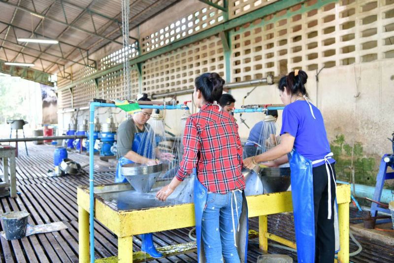 สั่งสำรวจความต้องการสหกรณ์ใช้เครื่องจักรหลังแบน 3 สาร