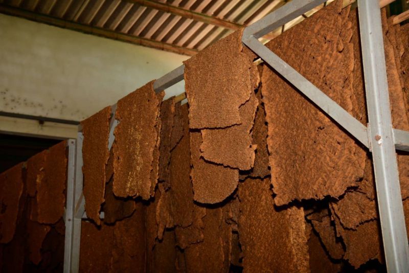 สั่งสำรวจความต้องการสหกรณ์ใช้เครื่องจักรหลังแบน 3 สาร