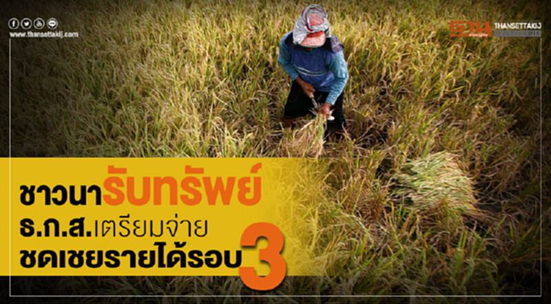 ชาวนารับทรัพย์ ธ.ก.ส.เตรียมจ่ายชดเชยรายได้รอบ3 ชาวนารับทรัพย์ ธ.ก.ส.เตรียมจ่ายชดเชยรายได้รอบ3