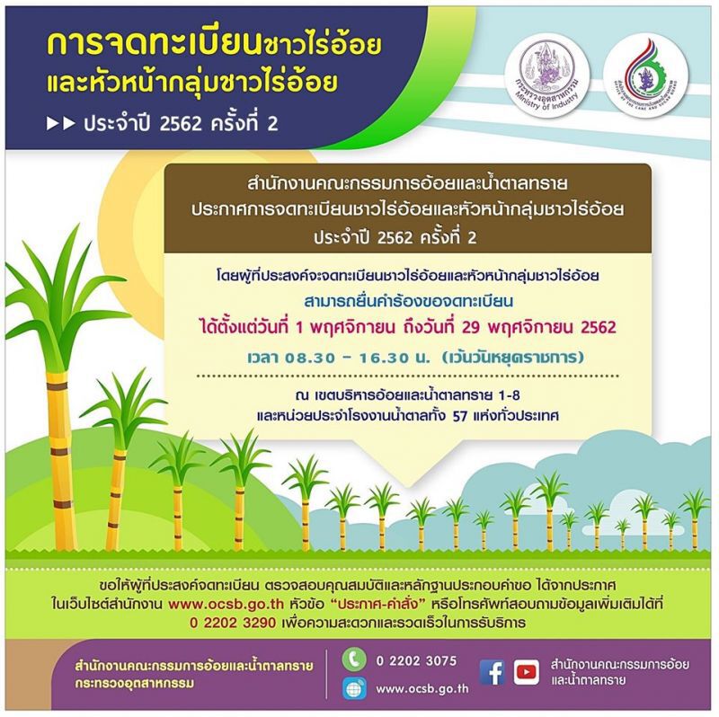 จดทะเบียนชาวไร่อ้อยก่อน 29 พ.ย. รับการช่วยเหลือจากรัฐ