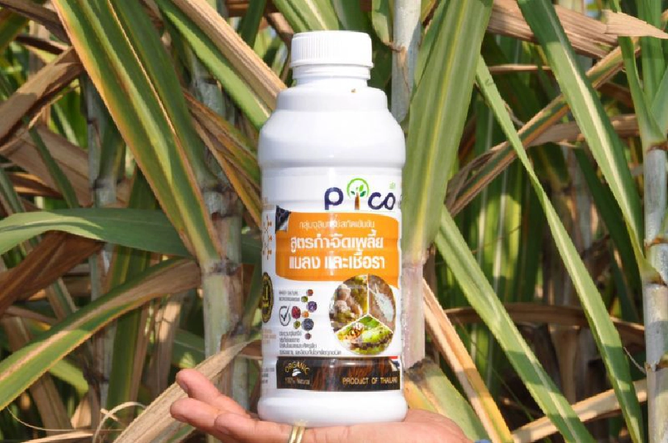 ‘สารชีวภัณฑ์’ ผลประโยชน์ทับซ้อนโยงนักการเมือง จริงหรือไม่