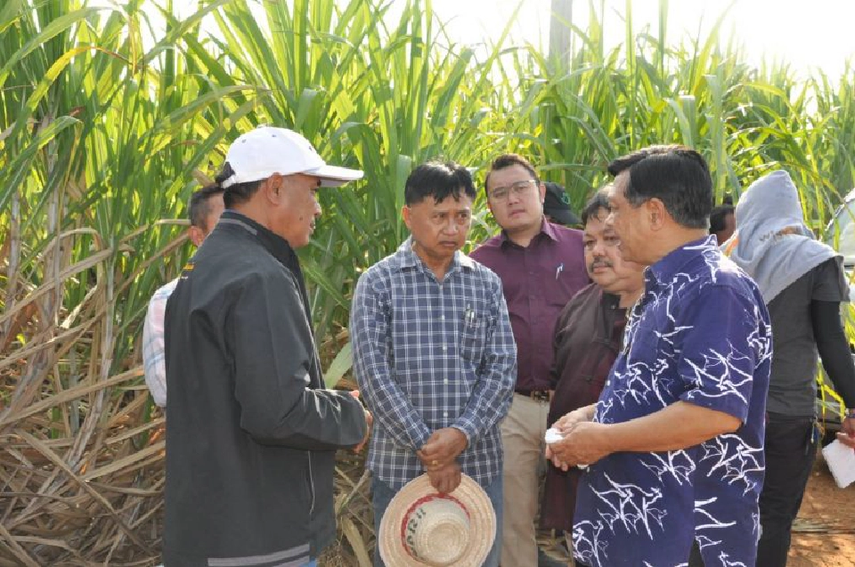 ‘สารชีวภัณฑ์’ ผลประโยชน์ทับซ้อนโยงนักการเมือง จริงหรือไม่