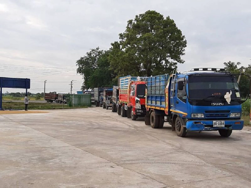 สั่งสหกรณ์ปูพรมเปิดจุดรับซื้อข้าวเปลือกจากชาวนา
