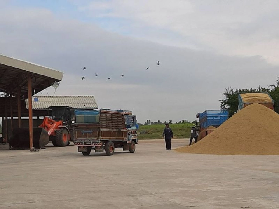 สั่งสหกรณ์ปูพรมเปิดจุดรับซื้อข้าวเปลือกจากชาวนา