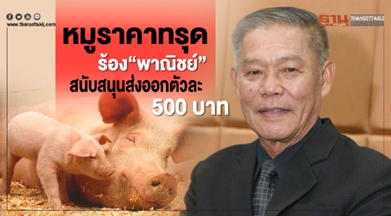 หมูราคาทรุดร้อง "พาณิชย์" สนับสนุนส่งออกตัวละ 500 บาท หมูราคาทรุดร้อง "พาณิชย์" สนับสนุนส่งออกตัวละ 500 บาท