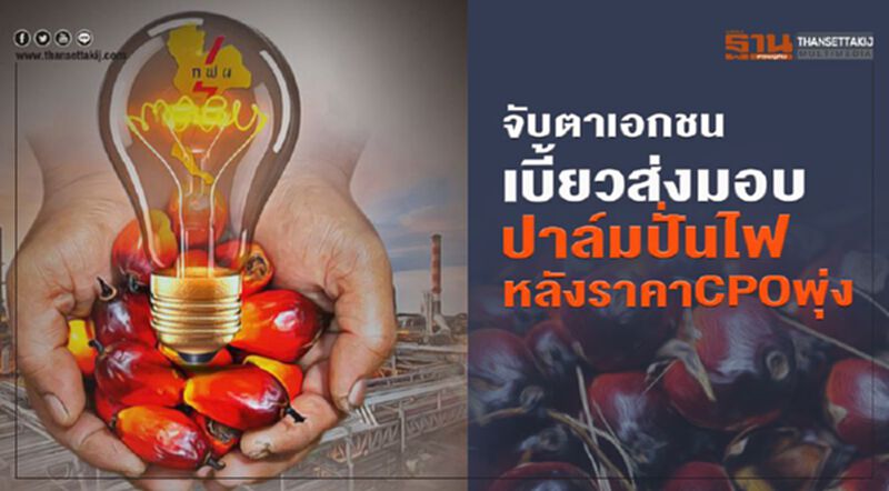จับตาเอกชนเบี้ยวส่งมอบ ปาล์มปั่นไฟหลังราคา CPO พุ่ง จับตาเอกชนเบี้ยวส่งมอบ ปาล์มปั่นไฟหลังราคา CPO พุ่ง