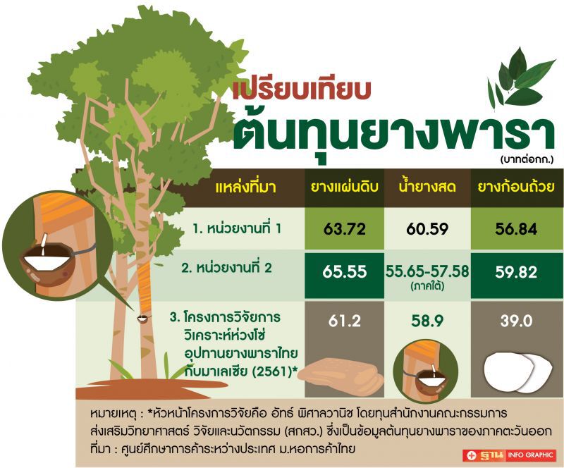 ต้นทุนผลิตยางพาราไทย ได้เวลาต้อง “รื้อใหญ่”