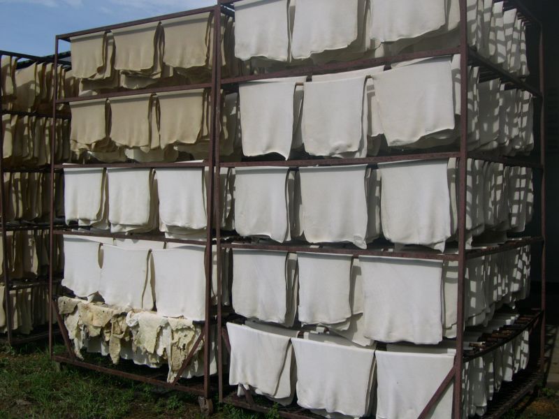 ต้นทุนผลิตยางพาราไทย ได้เวลาต้อง “รื้อใหญ่”