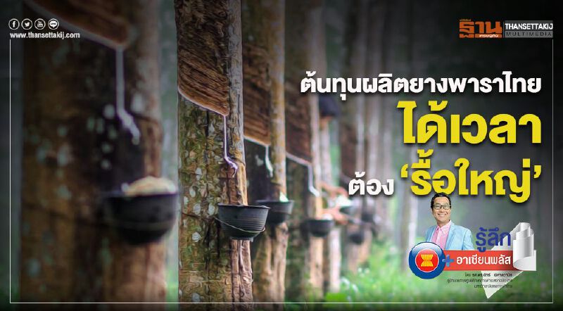 ต้นทุนผลิตยางพาราไทย ได้เวลาต้อง “รื้อใหญ่” ต้นทุนผลิตยางพาราไทย ได้เวลาต้อง “รื้อใหญ่”