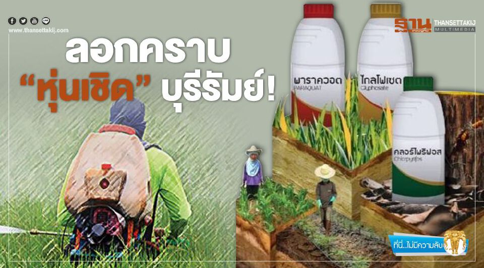 Big Story แบน 3 สาร เพื่อใคร?