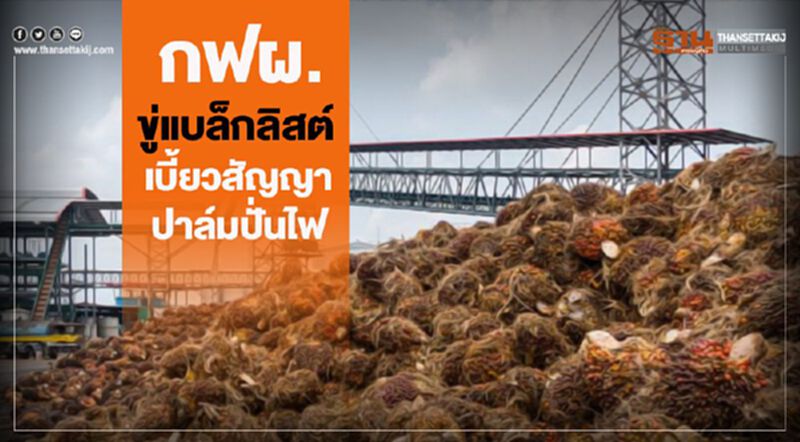 กฟผ.ขู่แบล็กลิสต์เบี้ยวสัญญาปาล์มปั่นไฟ กฟผ.ขู่แบล็กลิสต์เบี้ยวสัญญาปาล์มปั่นไฟ