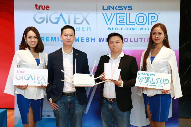 ทรู ผนึก Linksys เสริมแกร่งเน็ตไฟเบอร์  