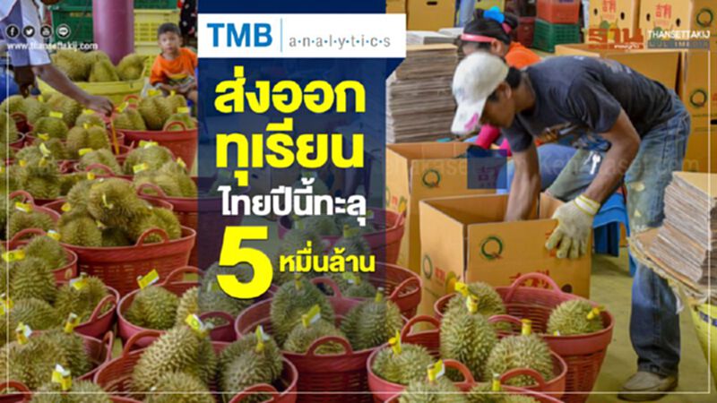 ส่งออกทุเรียนไทยปีนี้ ทะลุ 5 หมื่นล้าน ส่งออกทุเรียนไทยปีนี้ ทะลุ 5 หมื่นล้าน