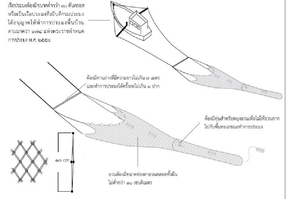 จัดระเบียบอวนจับแมงกะพรุน