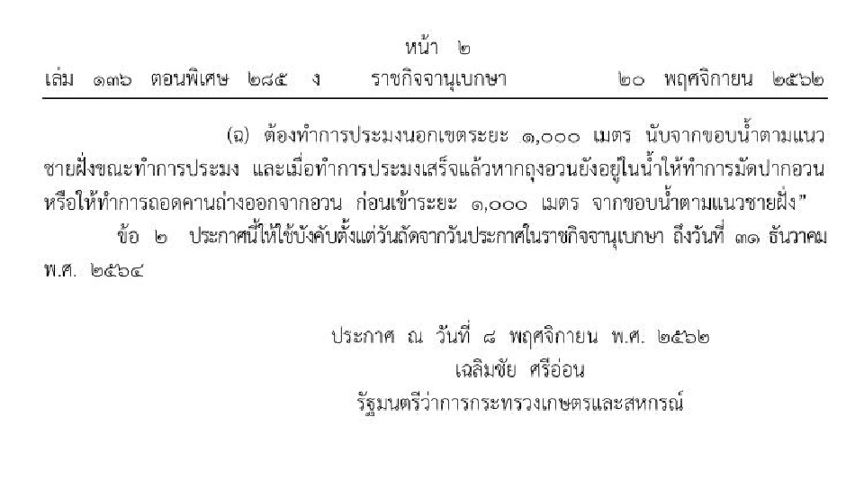 จัดระเบียบอวนจับแมงกะพรุน