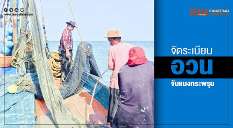 จัดระเบียบอวนจับแมงกะพรุน จัดระเบียบอวนจับแมงกะพรุน