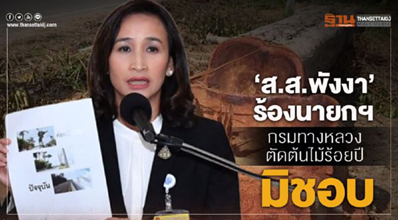 “ส.ส.พังงา”ร้องนายกฯ กรมทางหลวงตัดต้นไม้ร้อยปีมิชอบ “ส.ส.พังงา”ร้องนายกฯ กรมทางหลวงตัดต้นไม้ร้อยปีมิชอบ