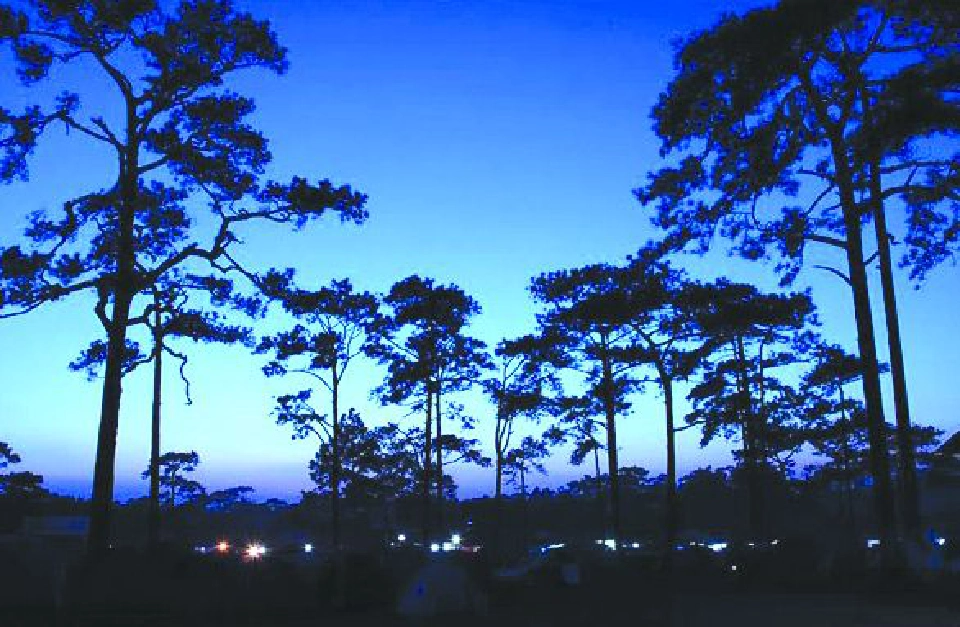 ลุยหมอก สัมผัสหนาวต้องเยือน...เลย