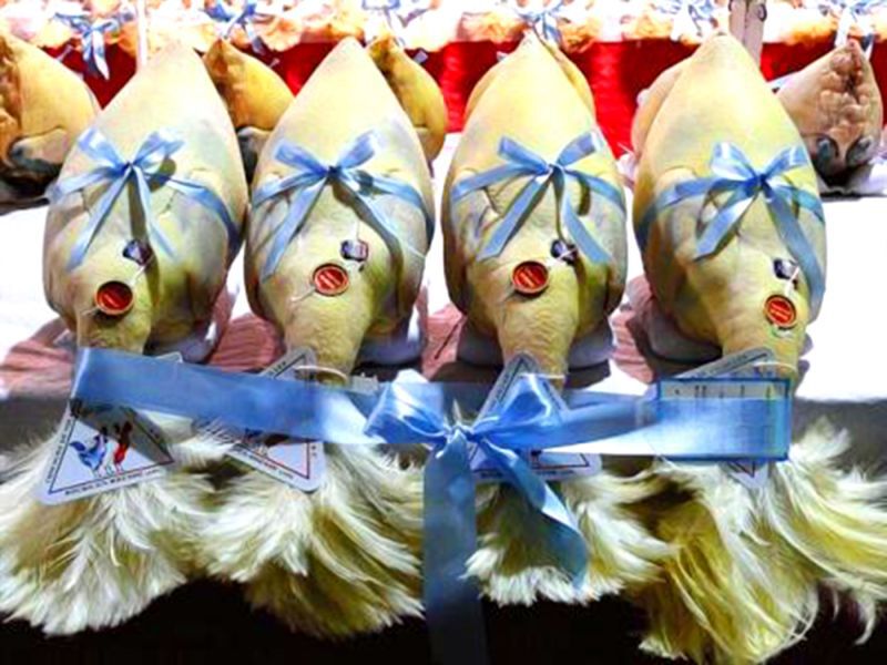 ไก่เนื้อเเพร