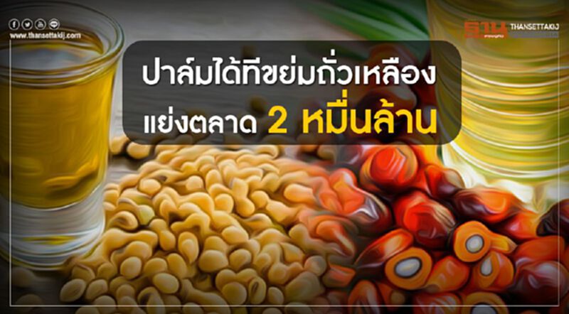 ปาล์มได้ทีขย่มถั่วเหลืองแย่งตลาด 2 หมื่นล้าน ปาล์มได้ทีขย่มถั่วเหลืองแย่งตลาด 2 หมื่นล้าน