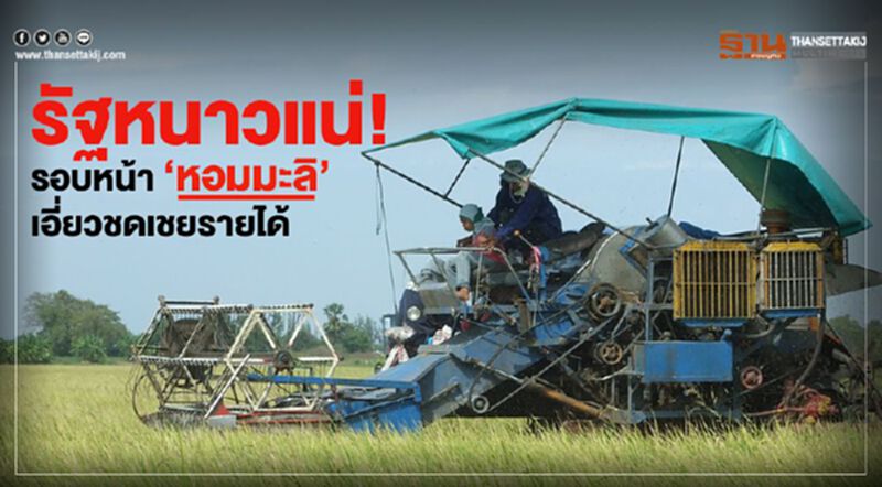 รัฐหนาวแน่! รอบหน้า ‘หอมมะลิ’ เอี่ยวชดเชยรายได้ รัฐหนาวแน่! รอบหน้า ‘หอมมะลิ’ เอี่ยวชดเชยรายได้