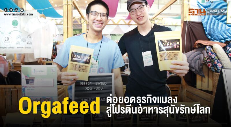 Orgafeed ต่อยอดธุรกิจแมลง สู่โปรตีนอาหารสุนัขรักษ์โลก