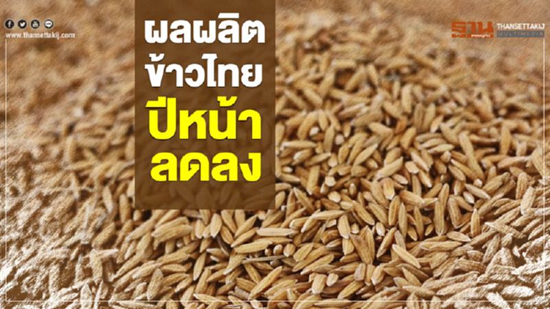 ผลผลิตข้าวไทยปีหน้าลดลง ผลผลิตข้าวไทยปีหน้าลดลง