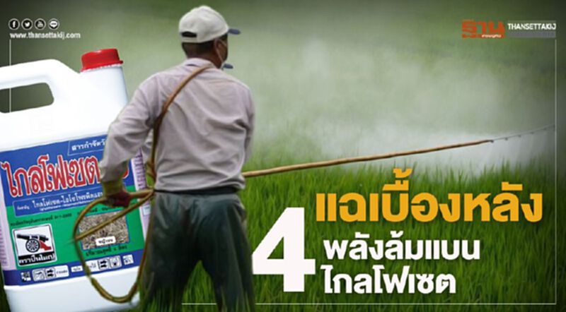 แฉเบื้องหลัง 4 พลังล้มแบนไกลโฟเซต แฉเบื้องหลัง 4 พลังล้มแบนไกลโฟเซต