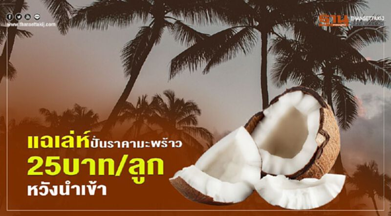 แฉเล่ห์ ปั่นราคามะพร้าว 25 บาท/ลูก หวังนำเข้า แฉเล่ห์ ปั่นราคามะพร้าว 25 บาท/ลูก หวังนำเข้า
