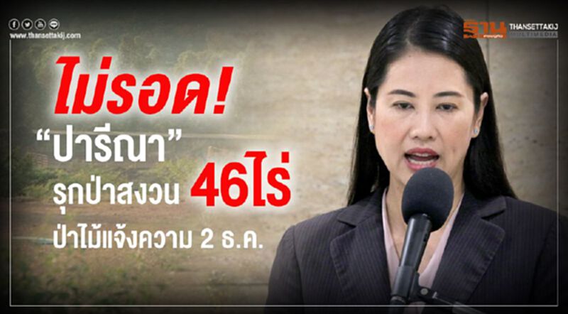 “ปารีณา”รุกป่าสงวน46ไร่ “กรมป่าไม้”แจ้งความ2ธ.ค.นี้ “ปารีณา”รุกป่าสงวน46ไร่ “กรมป่าไม้”แจ้งความ2ธ.ค.นี้