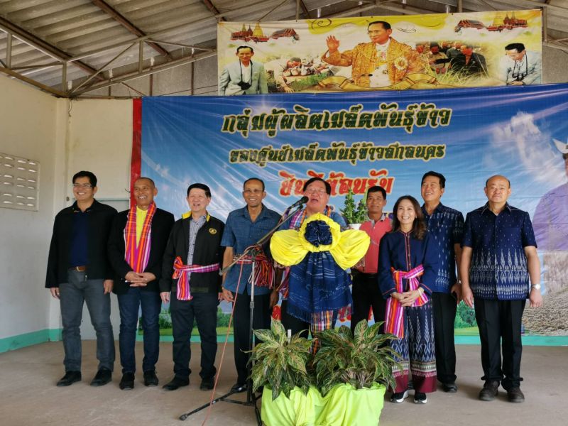 คิกออฟเปิดจุดรับซื้อเมล็ดพันธุ์ข้าวปี 63