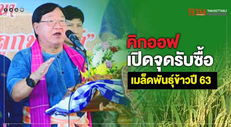 คิกออฟเปิดจุดรับซื้อเมล็ดพันธุ์ข้าวปี 63 คิกออฟเปิดจุดรับซื้อเมล็ดพันธุ์ข้าวปี 63