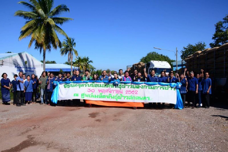 ชาวนาเฮ ! ก.เกษตรฯคิกออฟ รับซื้อพันธุ์ข้าว 1.3 หมื่นตัน 