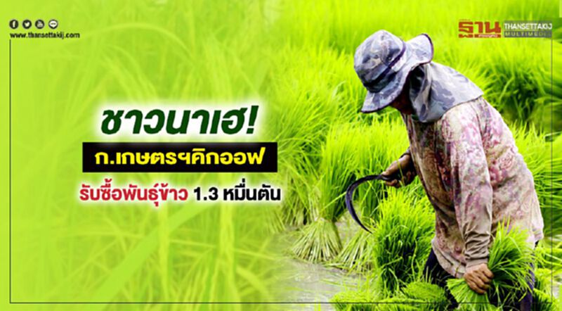 ชาวนาเฮ ! ก.เกษตรฯคิกออฟ รับซื้อพันธุ์ข้าว 1.3 หมื่นตัน ชาวนาเฮ ! ก.เกษตรฯคิกออฟ รับซื้อพันธุ์ข้าว 1.3 หมื่นตัน